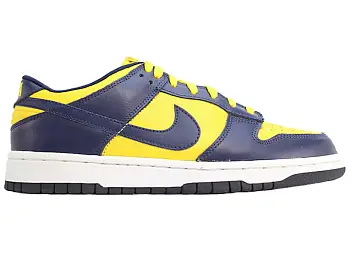 Nike Dunk Low Michigan (2002)