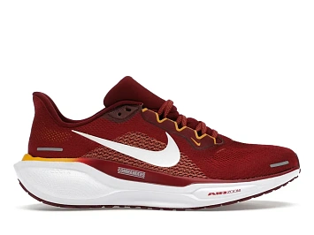 Nike Air Zoom Pegasus 41 (FZ5069-600) - 1