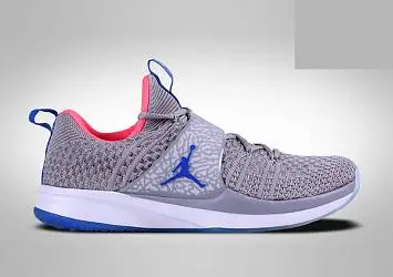 Nike Air Jordan Trainer 2 Flyknit Race  - 1