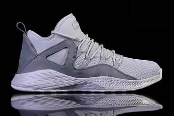 Nike Air Jordan Formula 23 Wolf (881465-013) - 2