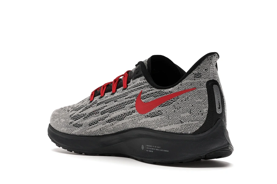 Фото № 5 с приближением к товару «‎Nike Air Zoom Pegasus 36 Ohio State»