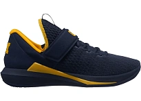 Фото № 1 с приближением к товару «‎Jordan Trainer Michigan Wolverines»