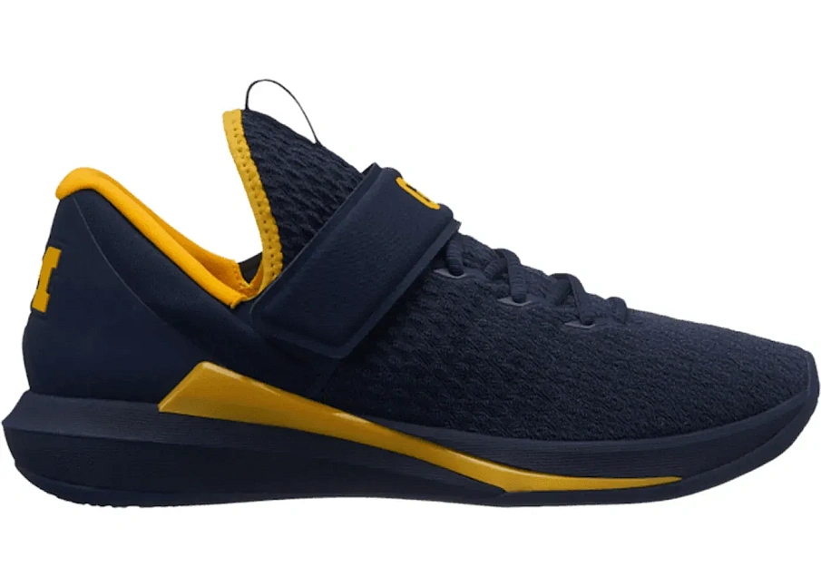 Фото № 1 с приближением к товару «‎Jordan Trainer Michigan Wolverines»