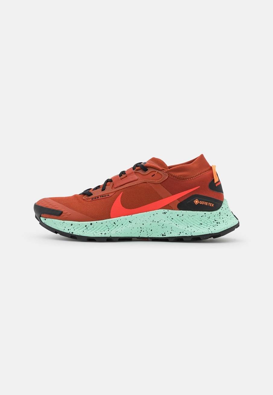 Фото № 1 с приближением к товару «‎Nike Pegasus Trail 3 Gtx»