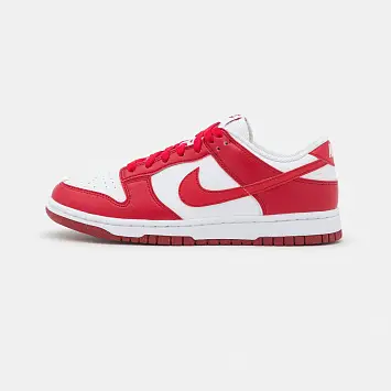 Nike Dunk Next Nature  - 1