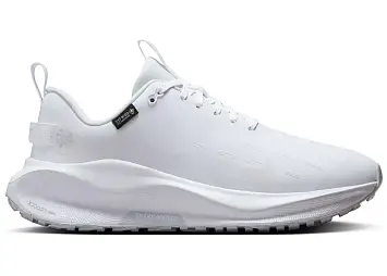 Nike React Infinity Run 4 Gore-Tex (HQ0264-101)