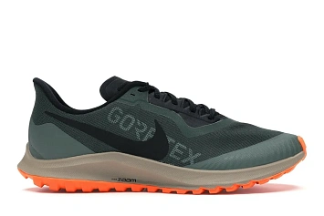 Nike Zoom Pegasus 36 Trail Gore-tex Galactic Jade (BV7762-300) - 1