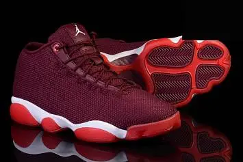 Nike Air Jordan Horizon Maroon Gym  - 2