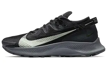 Nike Zoom Pegasus Trail Running shoes blackgrey - 1