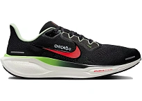Фото № 1 с приближением к товару «‎Nike Air Zoom Pegasus 41»