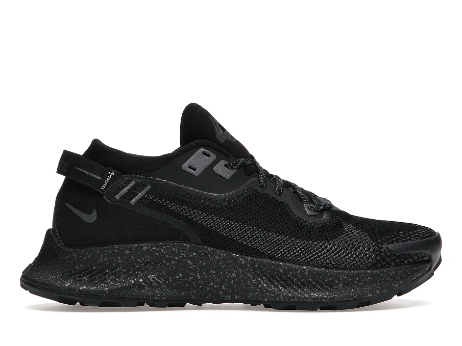 Фото № 1 с приближением к товару «‎Nike Pegasus Trail 2 Gore-Tex Black Metallic Dark Grey »