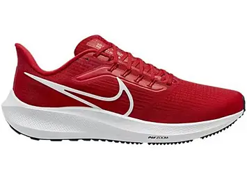 Nike Air Zoom Pegasus 39 TB (DM0164-602)