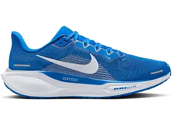 Nike Air Zoom Pegasus 41 (FZ5117-400)