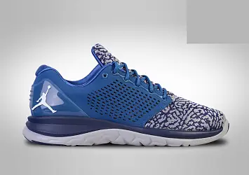 Nike Air Jordan Trainer ST French (820253-403) - 1