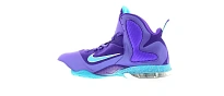 Фото № 3 с приближением к товару «‎Nike LeBron 9 Summit Lake Hornets»