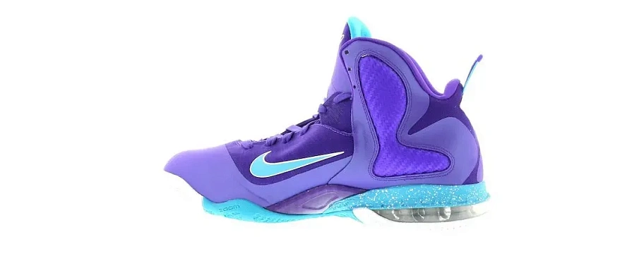 Фото № 3 с приближением к товару «‎Nike LeBron 9 Summit Lake Hornets»