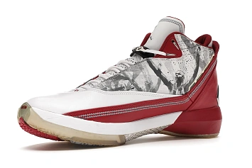 Jordan 22 OG Omega (315299-162) - 4
