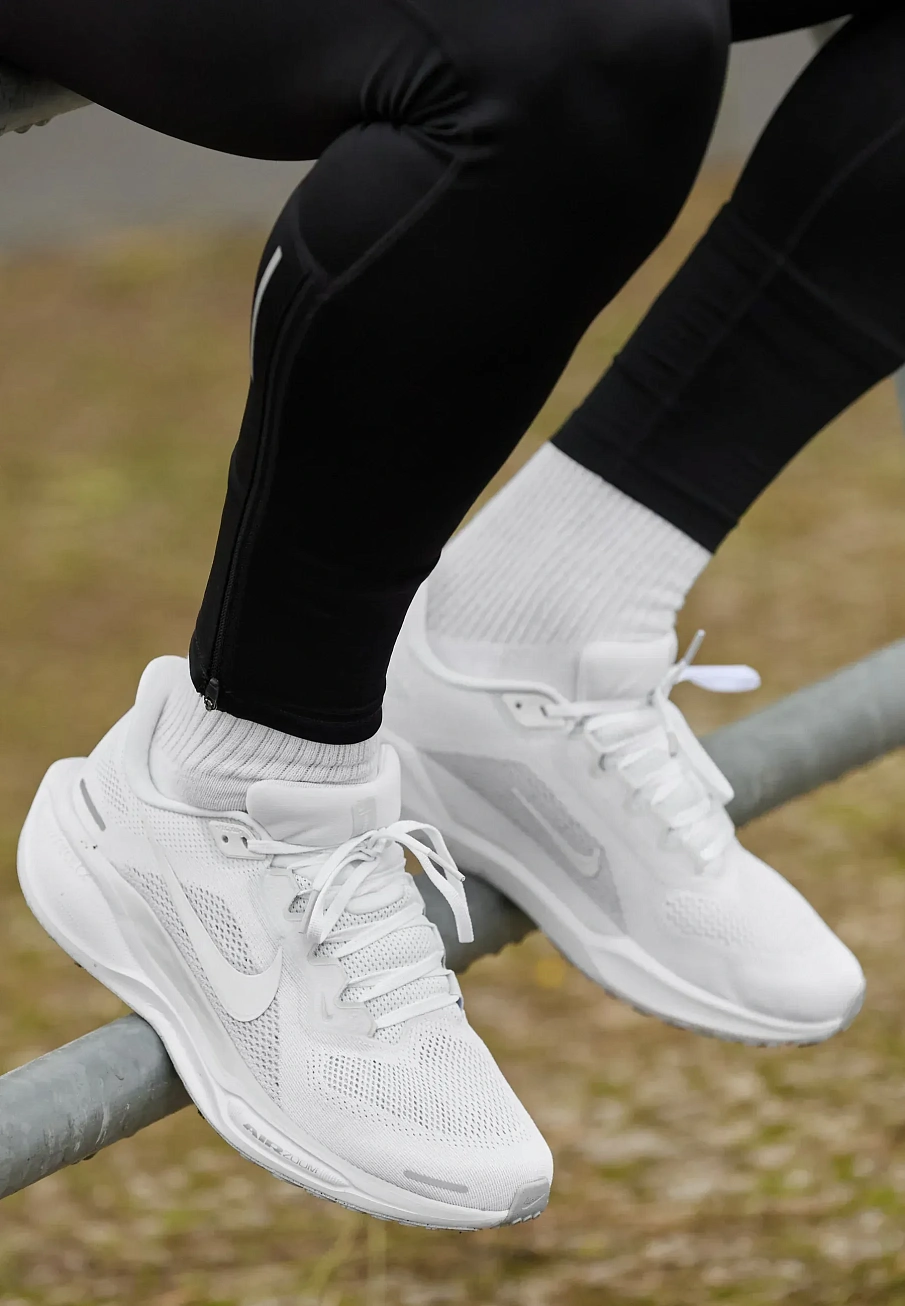 Фото № 1 с приближением к товару «‎AIR ZOOM PEGASUS 41»