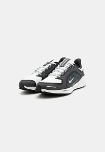 Фото № 2 с приближением к товару «‎AIR PEGASUS 41 GTX»