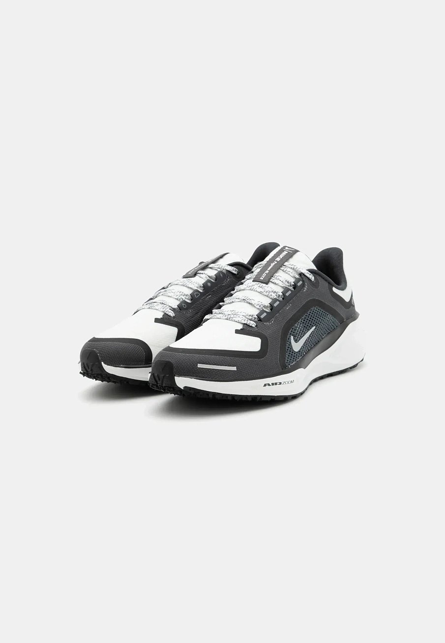 Фото № 2 с приближением к товару «‎AIR PEGASUS 41 GTX»