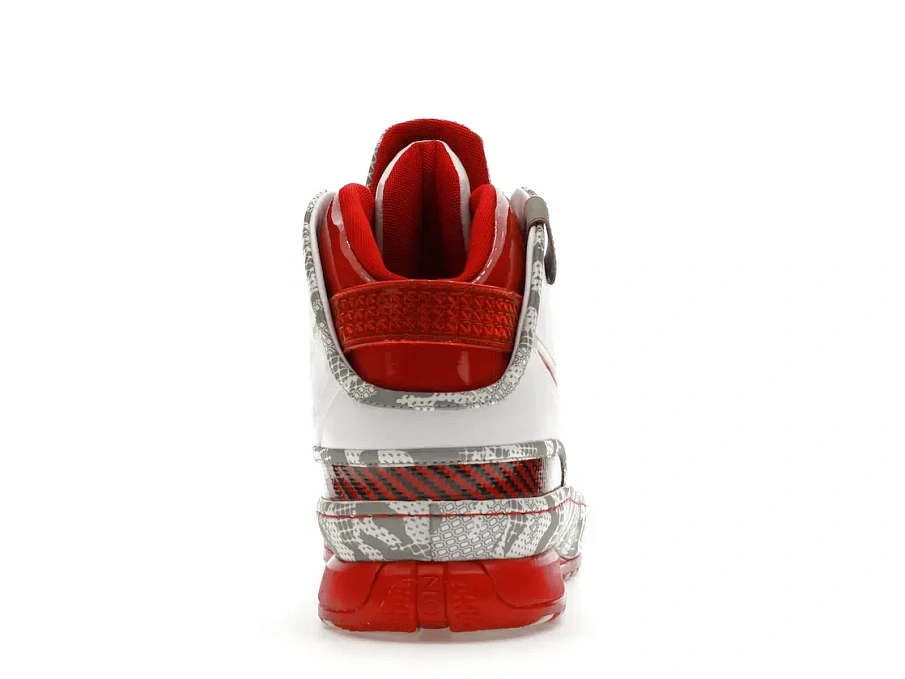 Фото № 4 с приближением к товару «‎Nike LeBron 6 Ohio State»