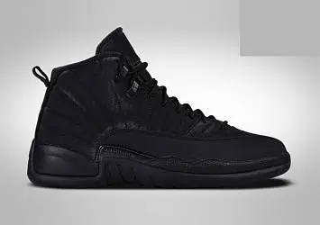 Nike Air Jordan 12 Retro Winterized  - 1