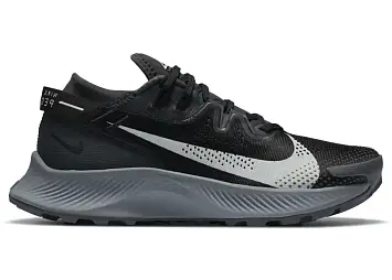 Nike Pegasus Trail 2 Dark Smoke Grey (CK4309-002)