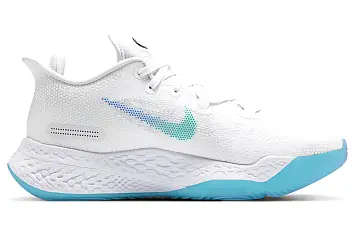 NIKE Air Zoom BB NXT EP Rawthentic (CK5708-100) - 2