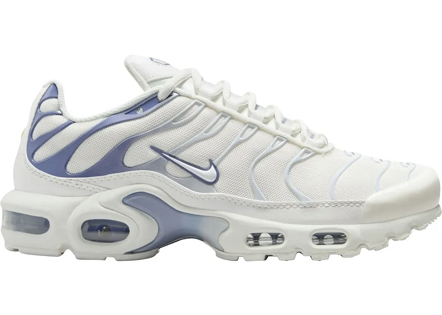 Фото № 1 с приближением к товару «‎Nike Air Max Plus Ashen Slate »