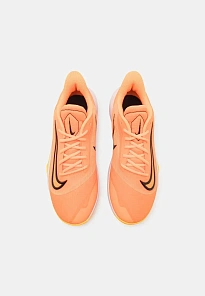 Фото № 4 с приближением к товару «‎PRECISION 7»