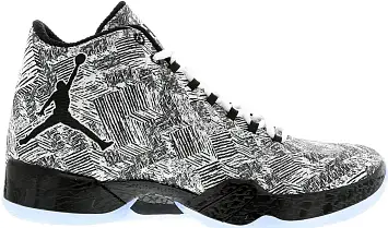 Jordan XX9 BHM (727133-110)