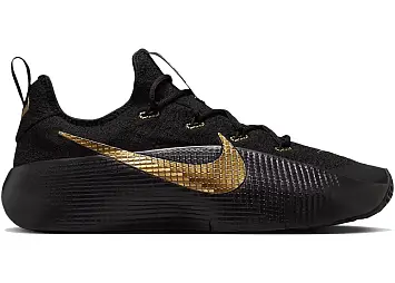 Nike LeBron TR 1 (FJ6151-004)