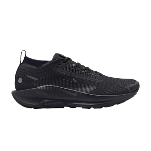 Nike Pegasus Trail 5 GORE-TEX Black Anthracite (FQ0908-002)