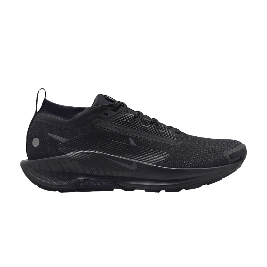 Фото № 1 с приближением к товару «‎Nike Pegasus Trail 5 GORE-TEX Black Anthracite (FQ0908-002)»