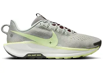Nike Pegasus Trail 5 (DV3864-004)